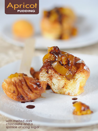 Apricot Mini Pudding