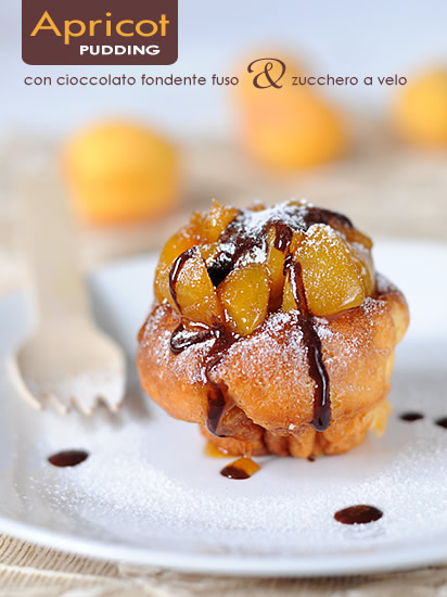 Apricot Mini Pudding