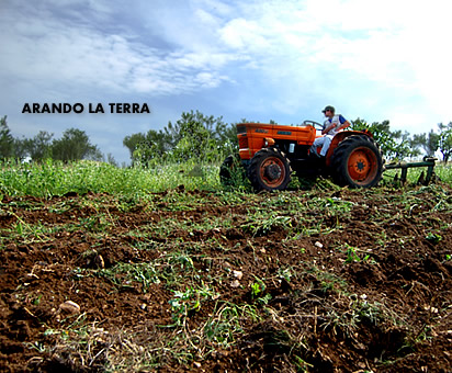 Arando la terra