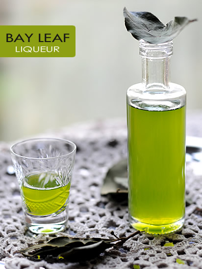 Bay Leaf Liqueur