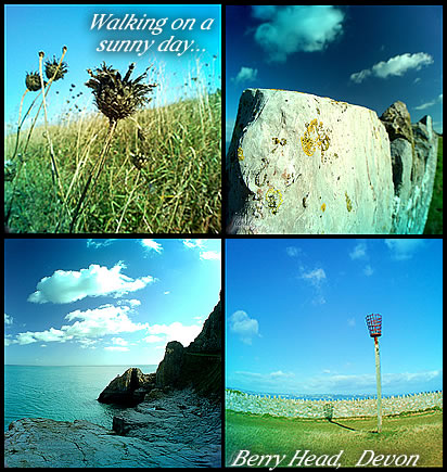 Berry Head, Devon