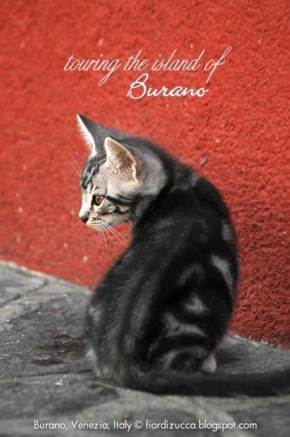 Touring Burano