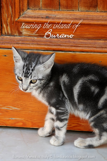 Touring Burano