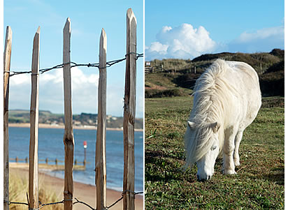 Dawlish Warren