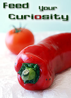 Feed your curiosity