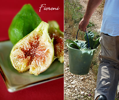 Fioroni aperti