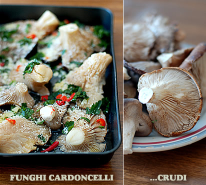 Funghi cardoncelli crudi