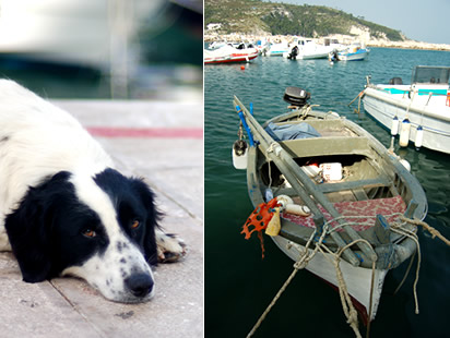 Cane che dorme e barca