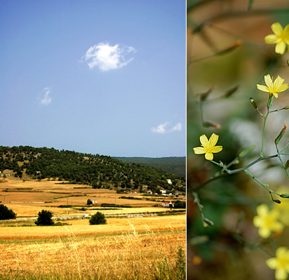 Parco Nazionale del Gargano
