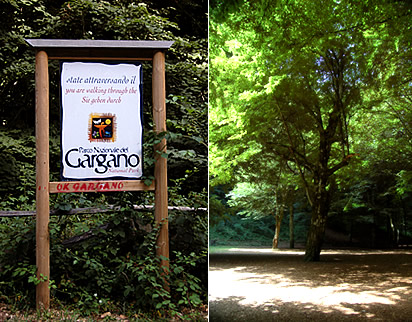 Parco Nazionale del Gargano