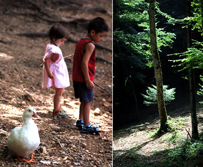 Parco Nazionale del Gargano