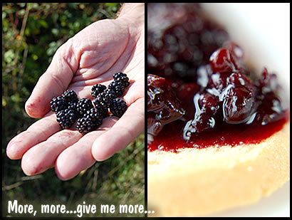 Give me more