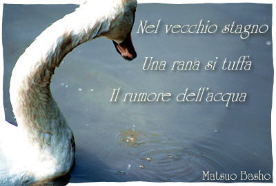 Haiku - Matsuo Bash