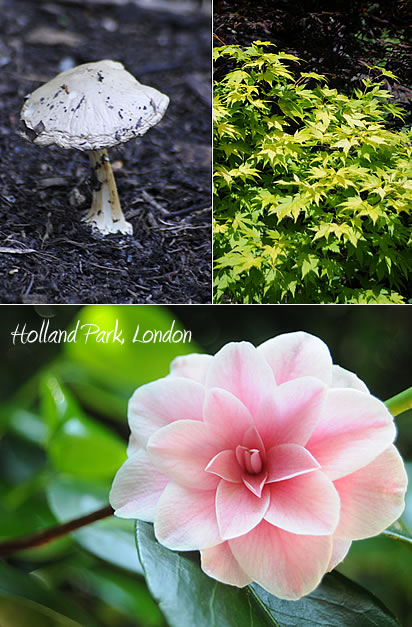 Holland Park, London