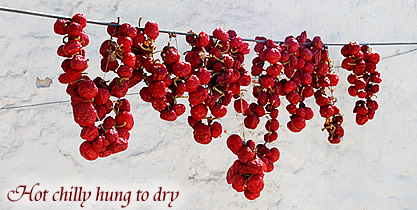 Hot chilly hung to dry