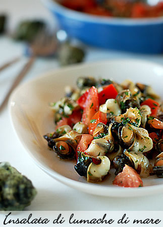 Insalata di lumache di mare