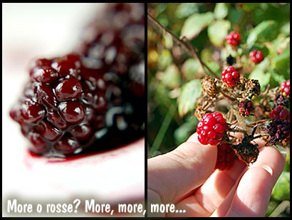 More o Rosse?