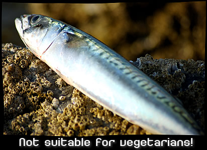 Not suitable for vegetarians!