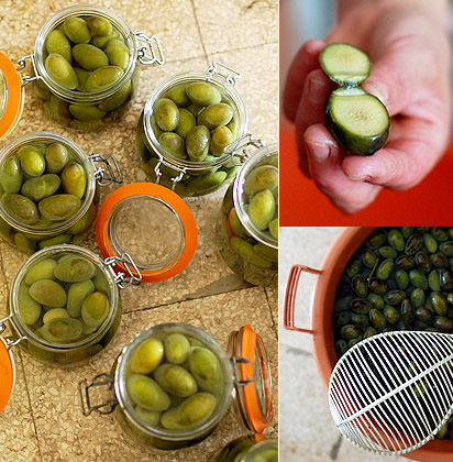 Olive
