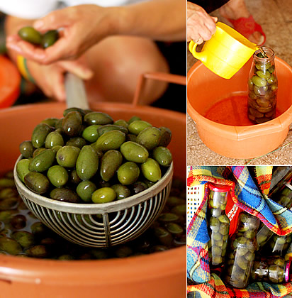 Olive