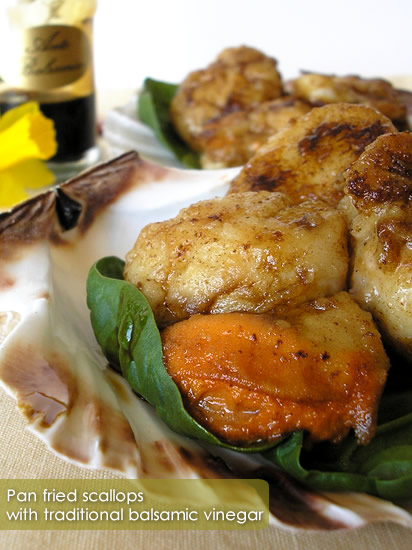 Pan fried scallops with traditional balsamic vinegar