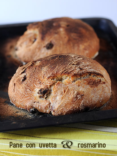 Pane con uvetta e rosmarino