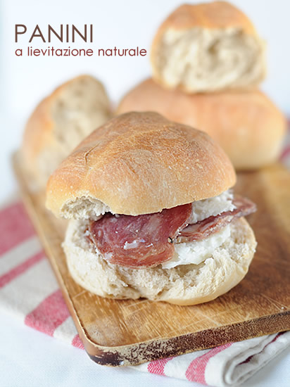 Panini a lievitazione naturale