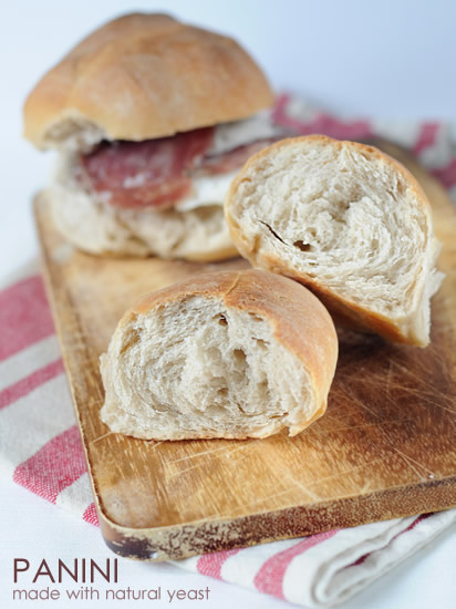 Panini made with natural yeast