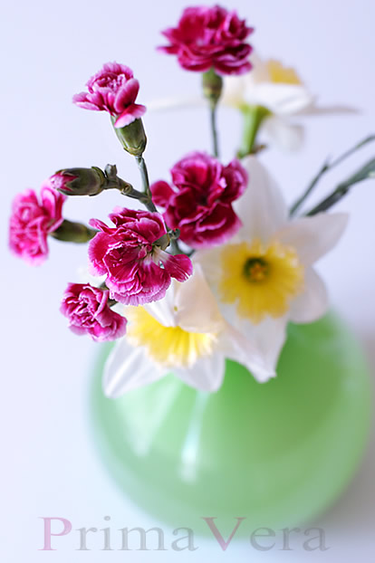 Primavera