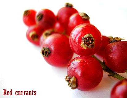 Red currants