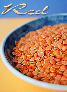 Red Lentil