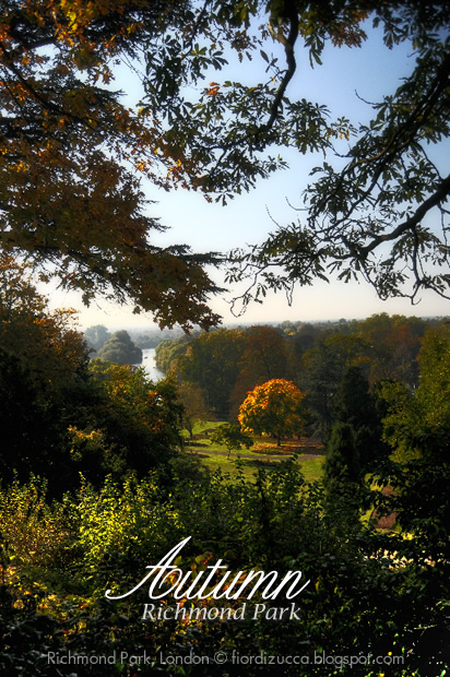Autumn in Richmond Park, London