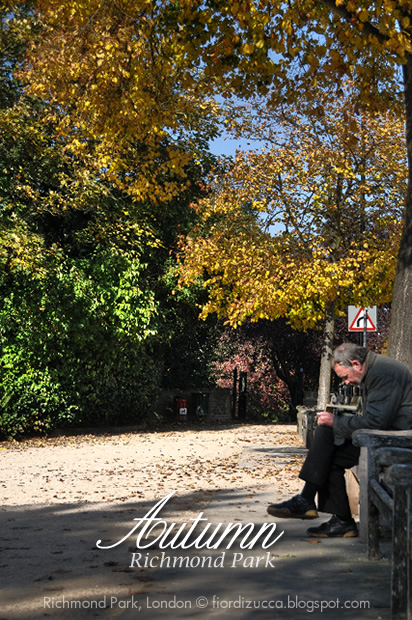 Autumn in Richmond Park, London