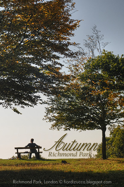 Autumn in Richmond Park, London
