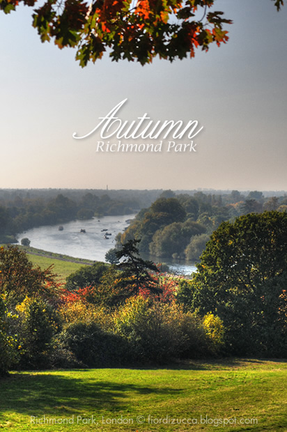 Autumn in Richmond Park, London