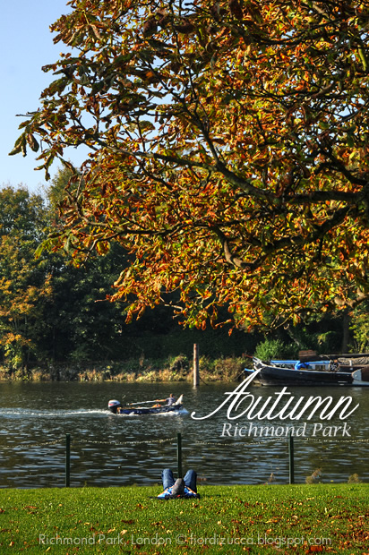 Autumn in Richmond Park, London