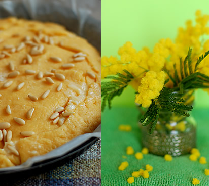 Torta della nonna e mimosa