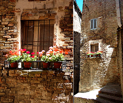 Per le vie di Urbino